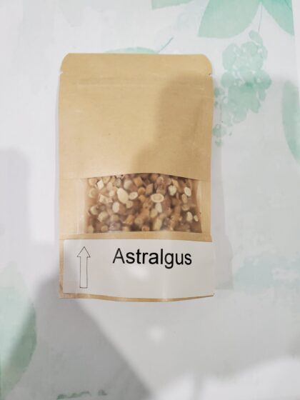 Astragalus