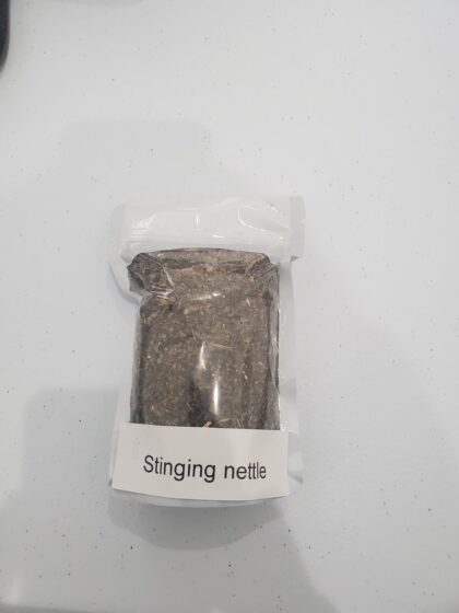 Stinging nettle
