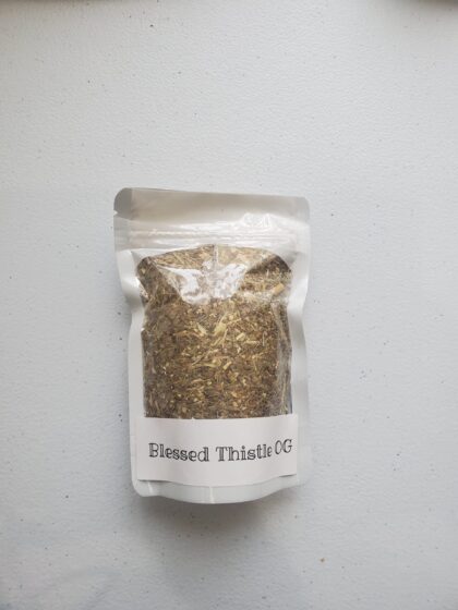 Blessed Thistle